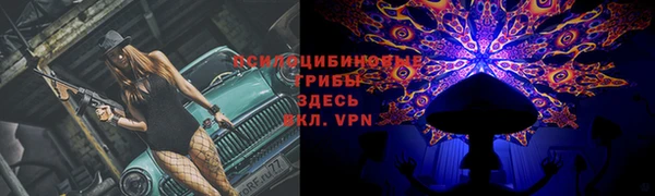круглые Алзамай