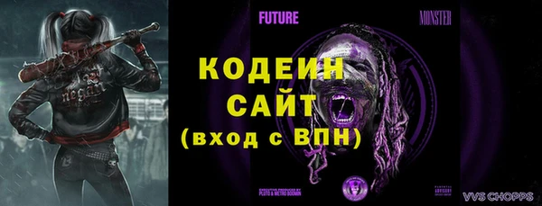 прущий лед Нея