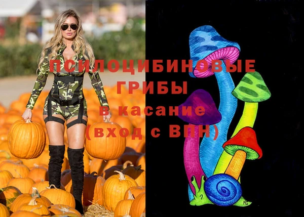 синтетический гашиш Алексин