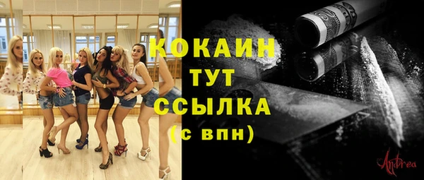 индика Алексеевка